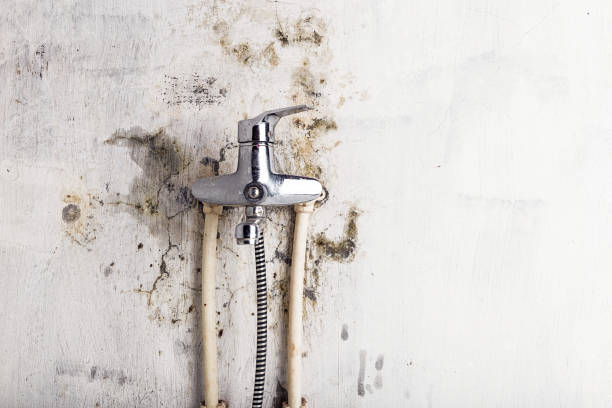Best Water Damage Restoration  in Spokane Valley, WA
