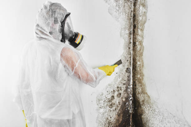 Best Emergency Mold Removal  in Spokane Valley, WA