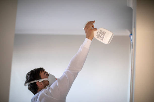 Best Attic Mold Removal  in Spokane Valley, WA