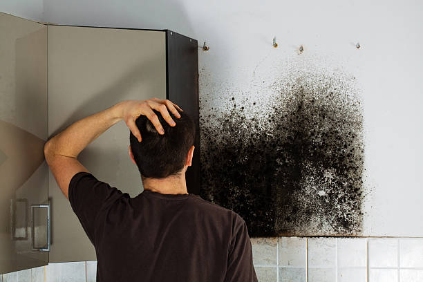 Best Mold Removal Process  in Spokane Valley, WA